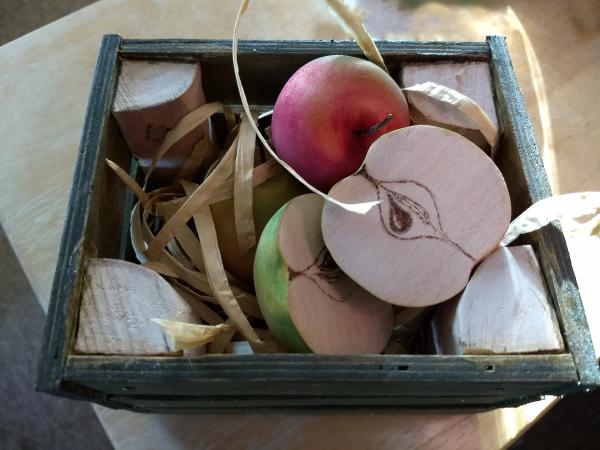 Box of apples showing one 'cut open' with pyrography 'core'