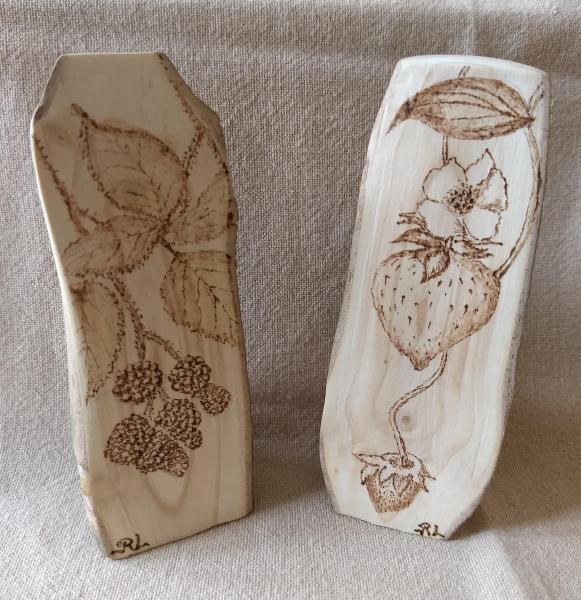 Blackberries and Strawberry plant